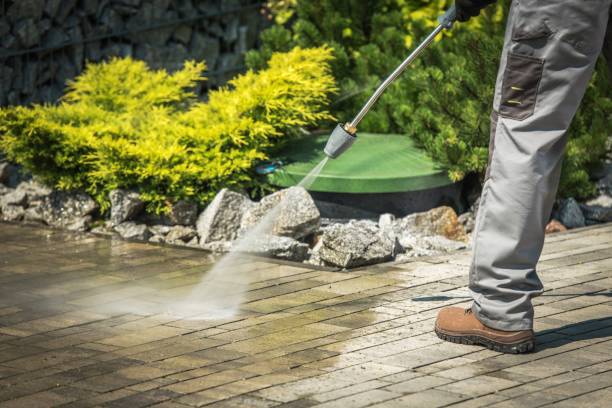 Best Roof Washing  in Springfield, TN